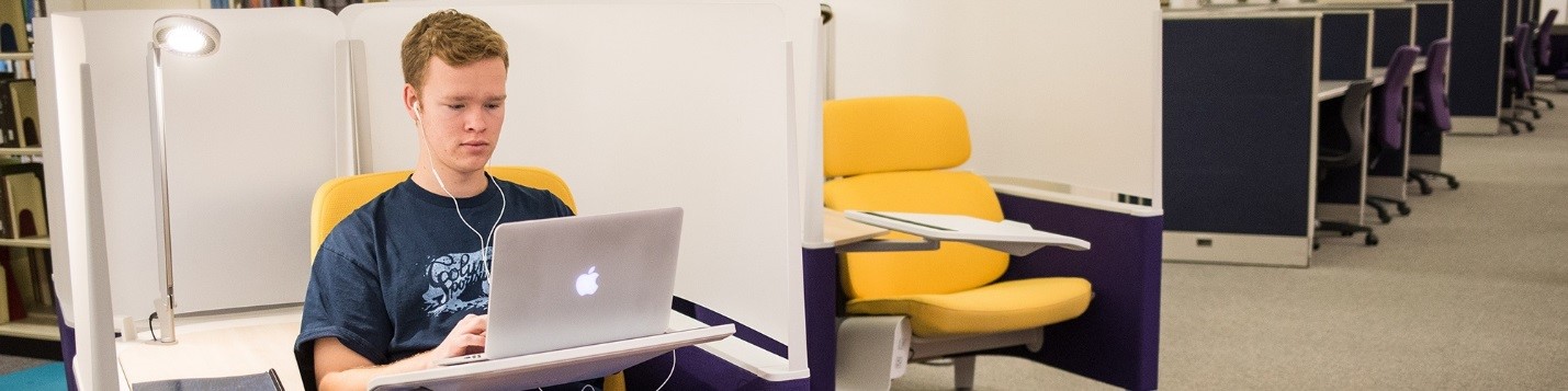 Distant learning student studying online