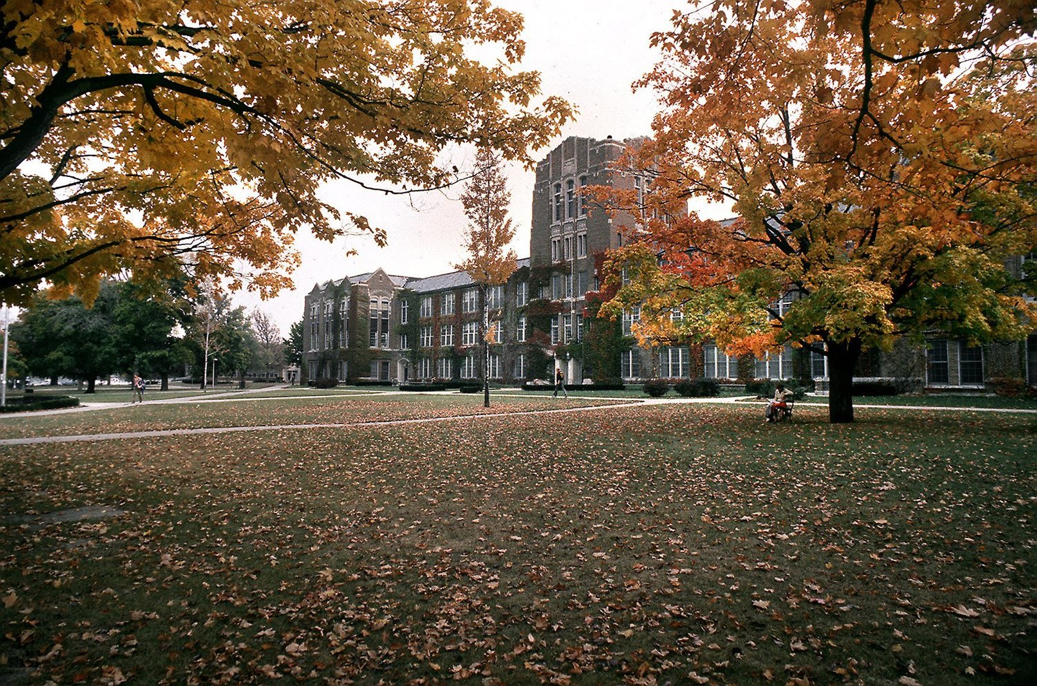 top-10-majors-at-central-michigan-university-oneclass-blog