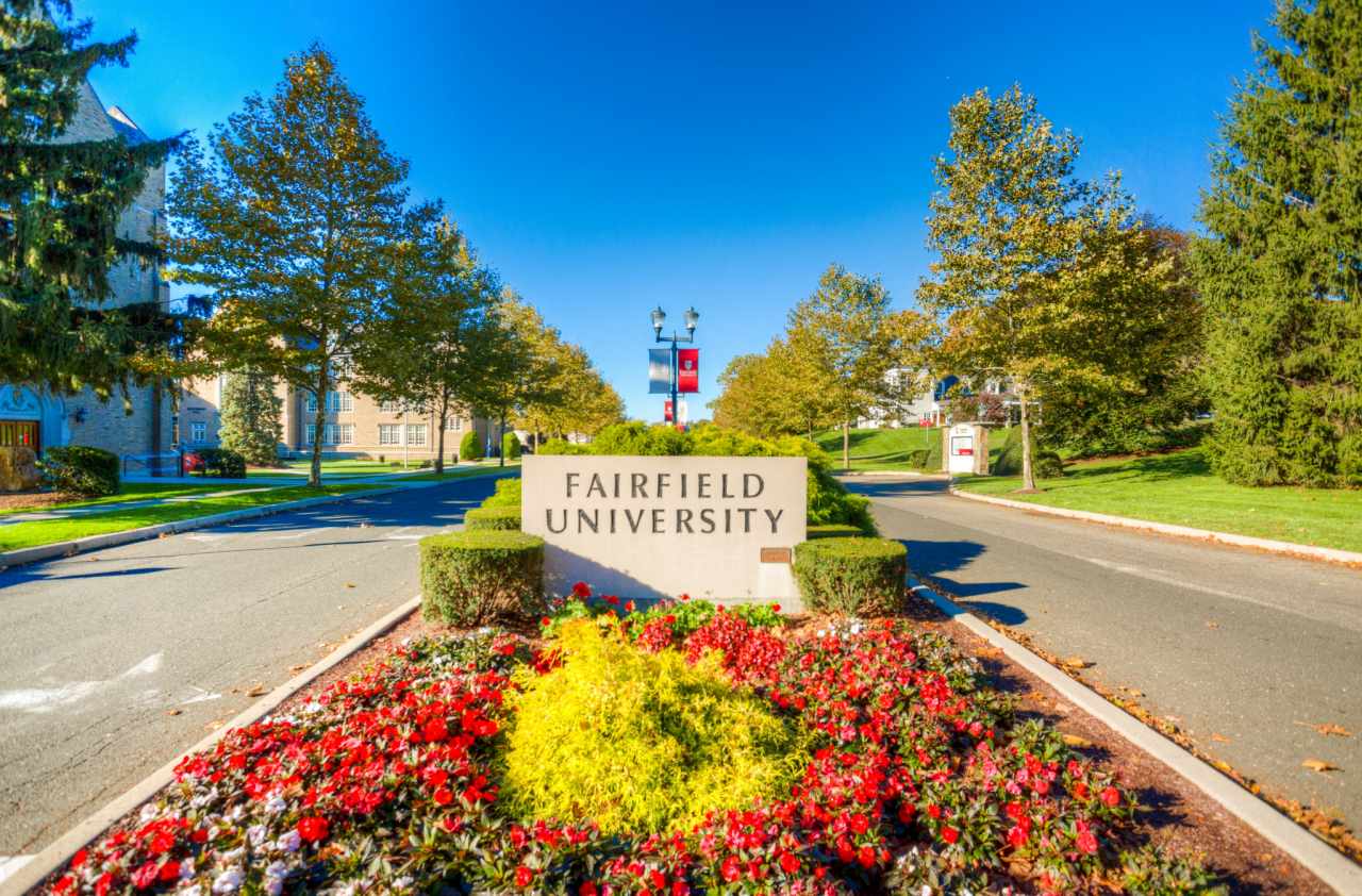 10 Coolest Courses at Fairfield University OneClass Blog