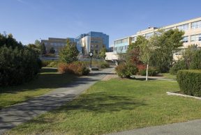 10 Great Majors at Memorial University
