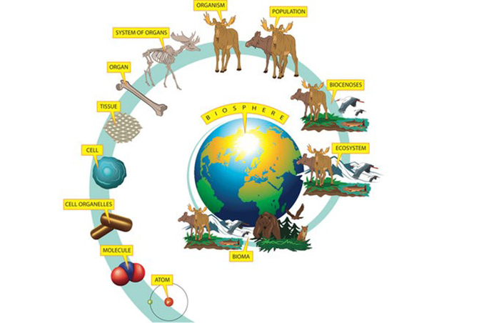 Biology