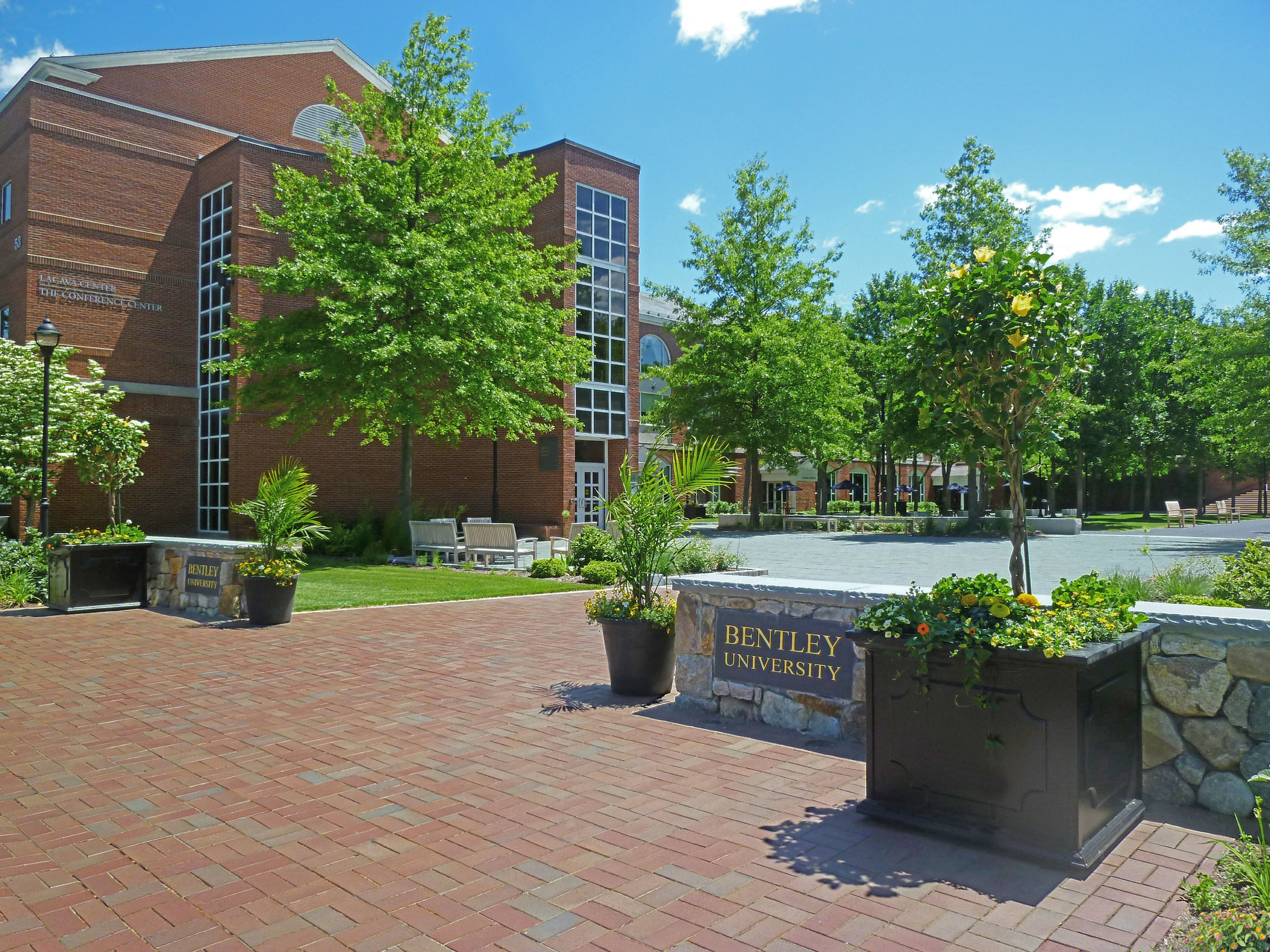 Top 10 Majors at Bentley University OneClass Blog