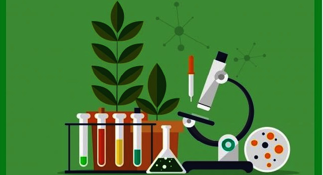 Tools used in biology lab