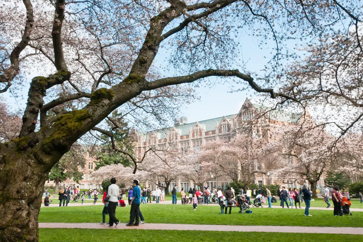 University of Washington (UW) Fall 2018 Final Exam Schedule - OneClass Blog