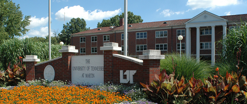 Top 10 library resources at University of Tennessee- Martin