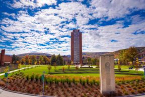 10 Hardest Courses at Binghamton University
