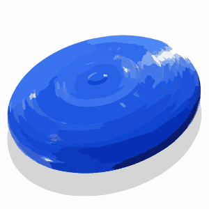 A frisbee