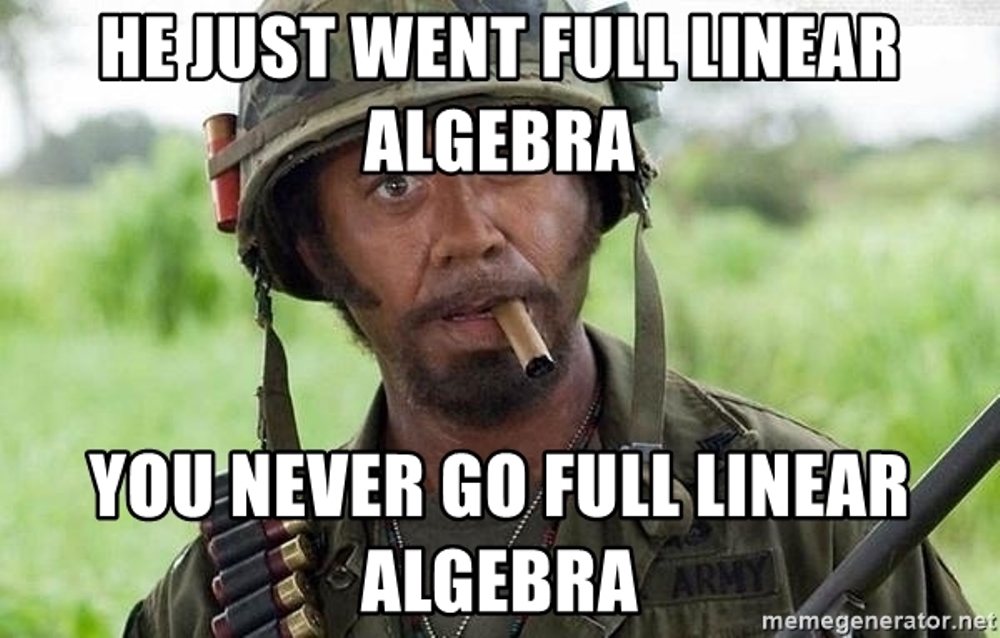 he-just-went-full-linear-algebra-you-never-go-full-linear-algebra