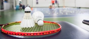 Badminton equipment