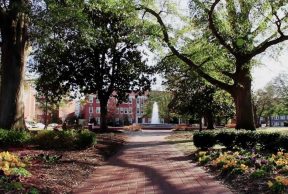 Top 10 Coolest Clubs at ECU