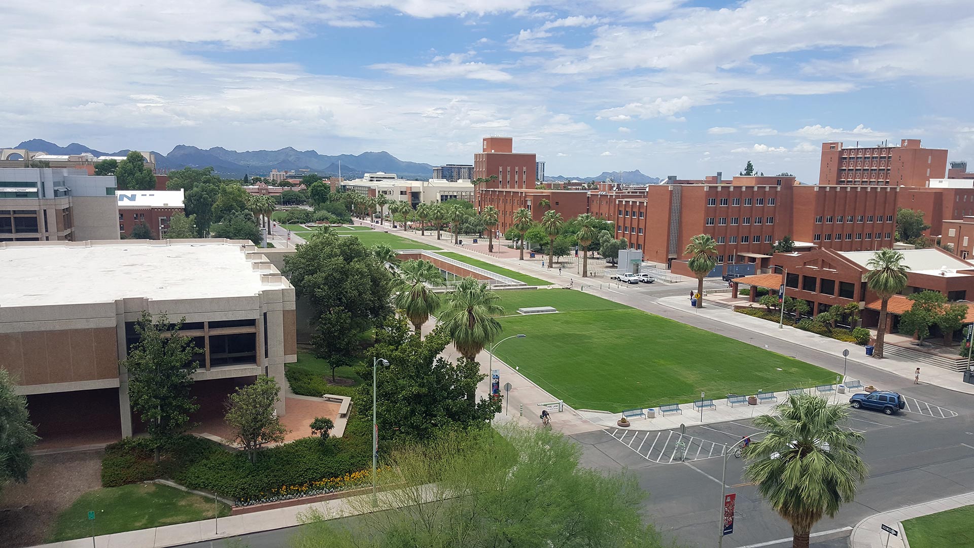 Top 10 Majors at University of Arizona - OneClass Blog