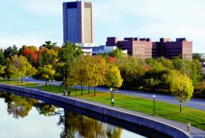 Jobs and Opportunities for Students at Carleton University