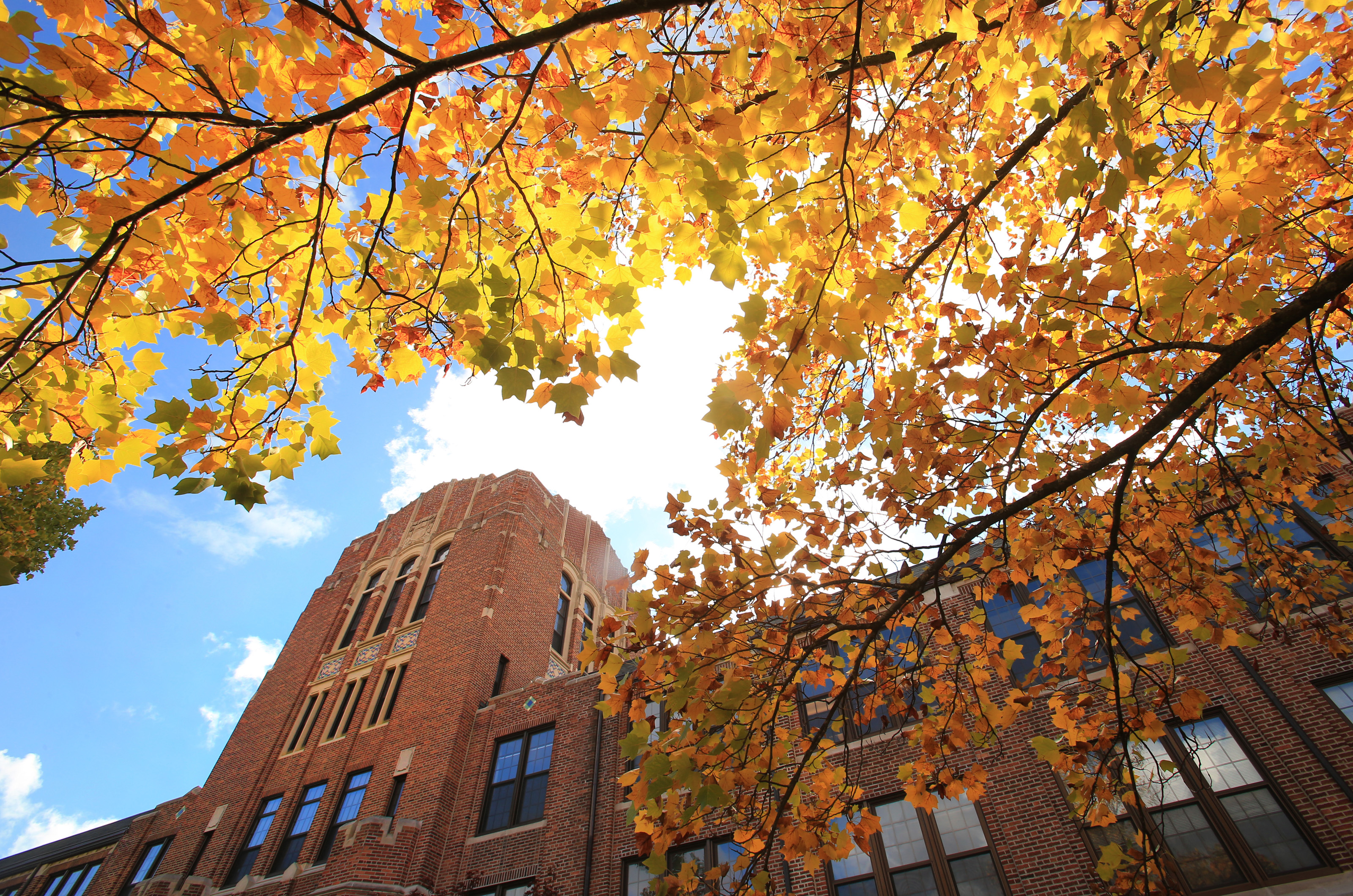 Fall Scenics Warriner Mall area