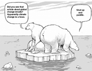 Climate Change Biology.