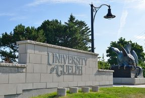 Jobs and Opportunities for Students at University of Guelph
