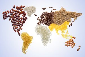 The map of continents made from cereals. 