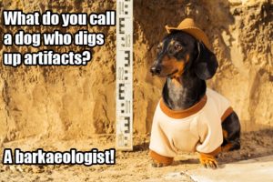 meme about dogs being archeologists