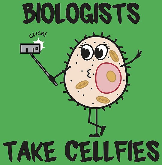 This is a funny biology joke