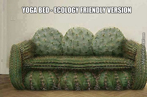 funny ecological version of yoga bed