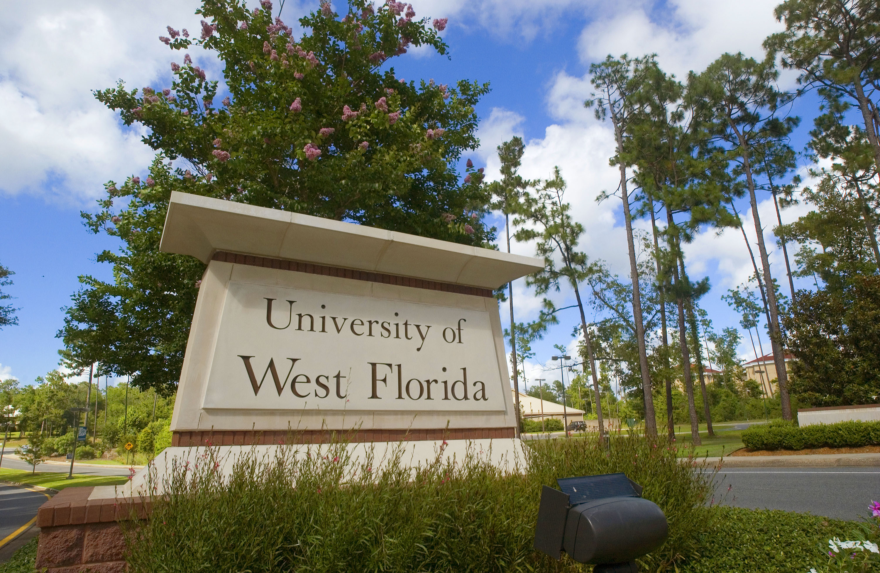 university of west florida essay requirements