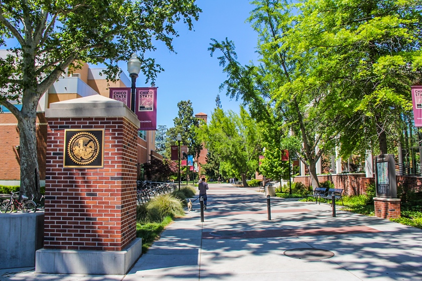 Top 10 Coolest classes at Chico State University