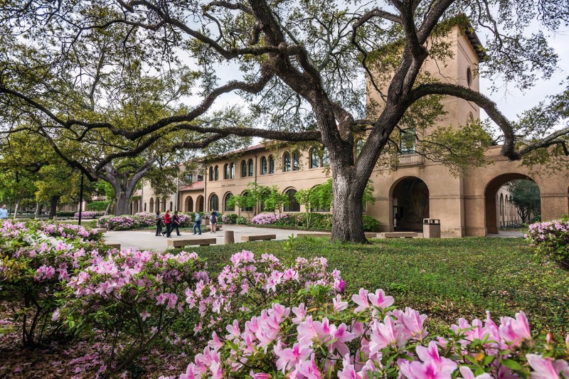 Louisiana State University Campus