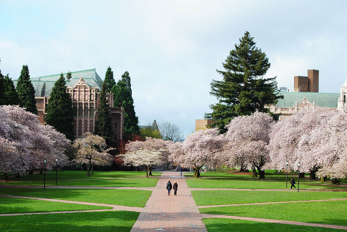 university of washington past exams