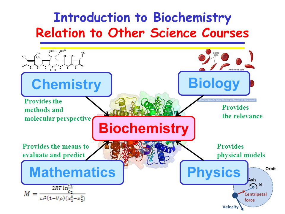 biochemistry and its relation with others sciences