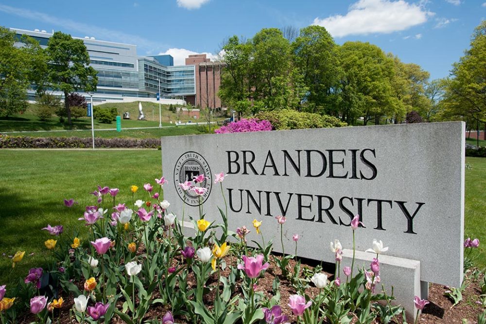 10 Coolest Courses at Brandeis University - OneClass Blog