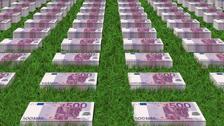 stacks of money on grass