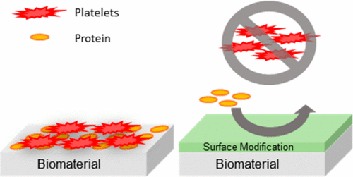 A protein resistant polymeric biomaterial