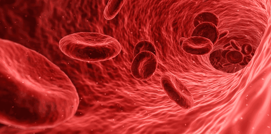 red blood cells flowing in vein