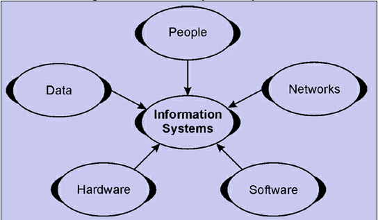 Components of Information System