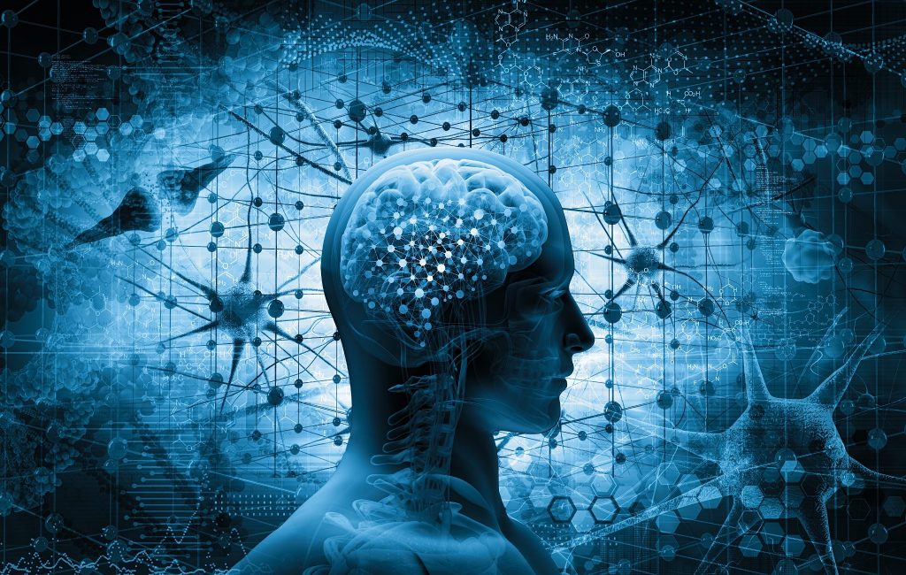 Pictorial representation of Cognitive Psychology