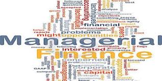 Word cloud of some of the main terms in managerial finance