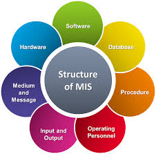 Picture that shows the different aspects of MIS