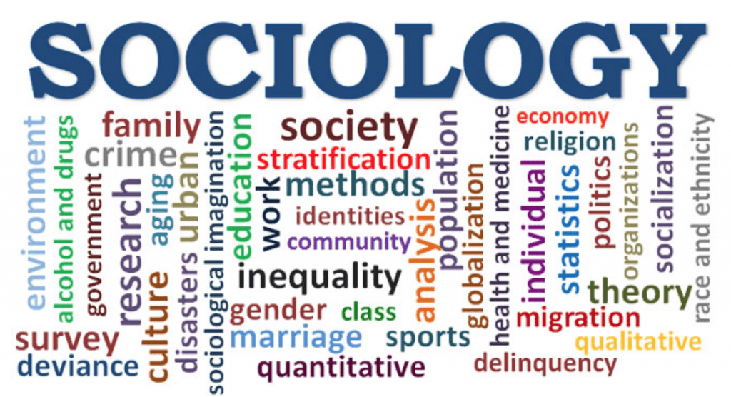 Words related to sociology