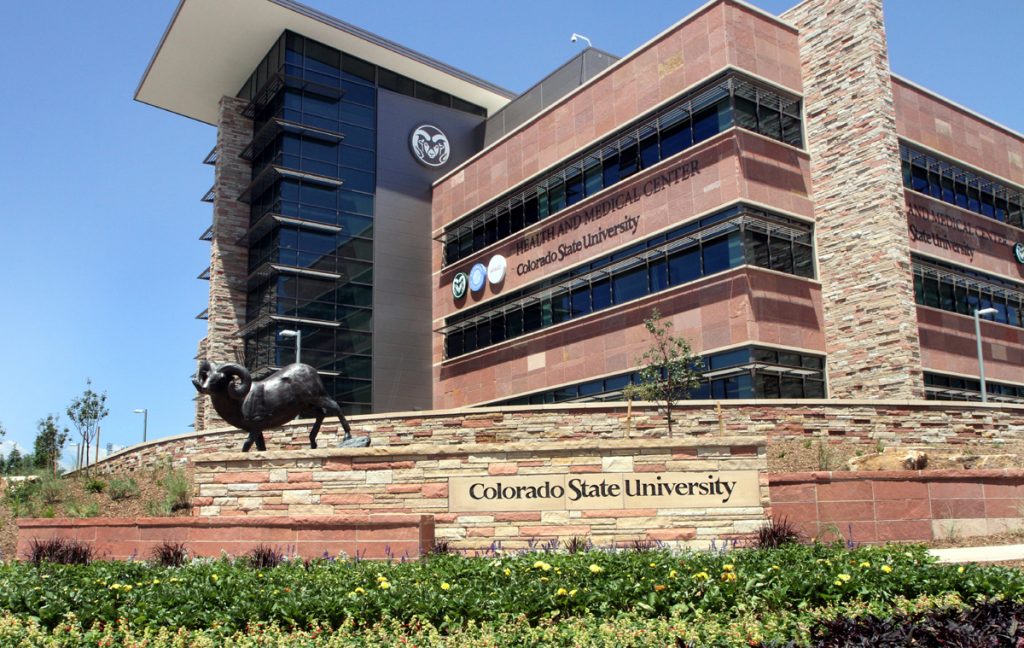 10 of the Easiest Classes at CSU - OneClass Blog