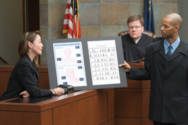 A linguist provides expert testimony in a trial. 