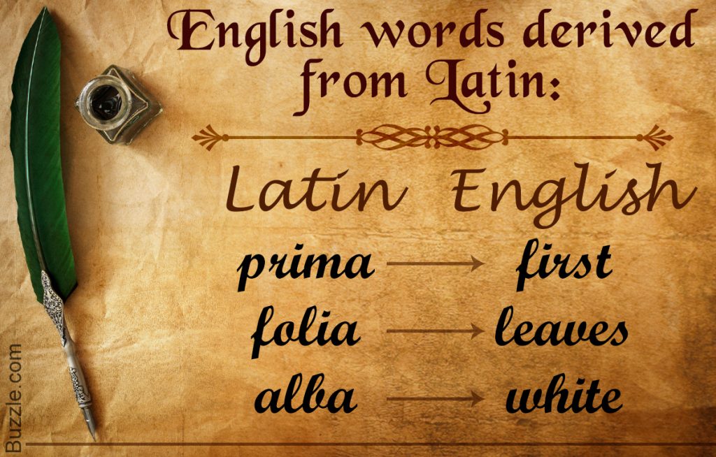 The professor shows off some Latin origins of English words.