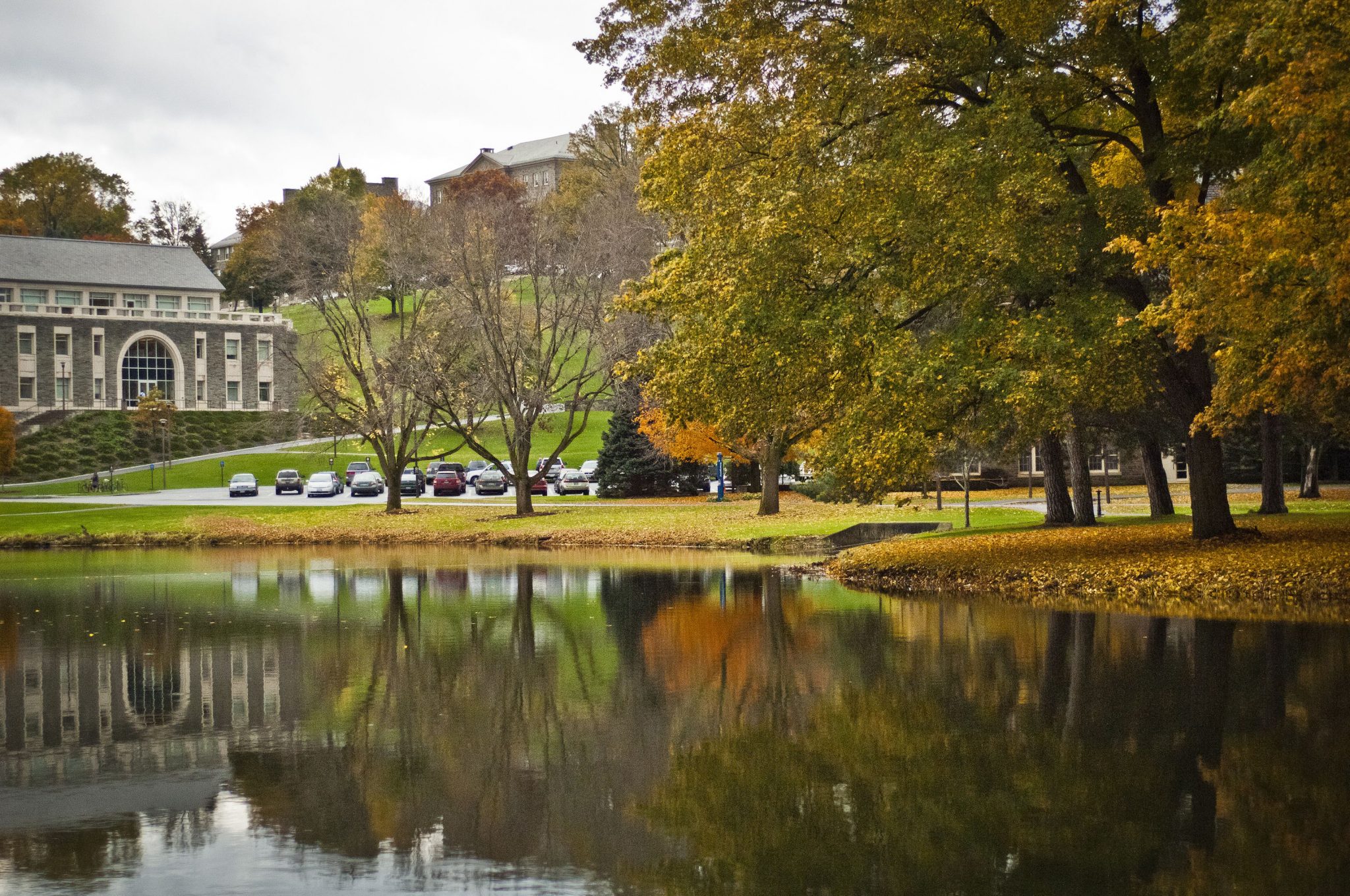 Top 10 Majors at Colgate University OneClass Blog