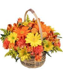 An image of flowers in a basket