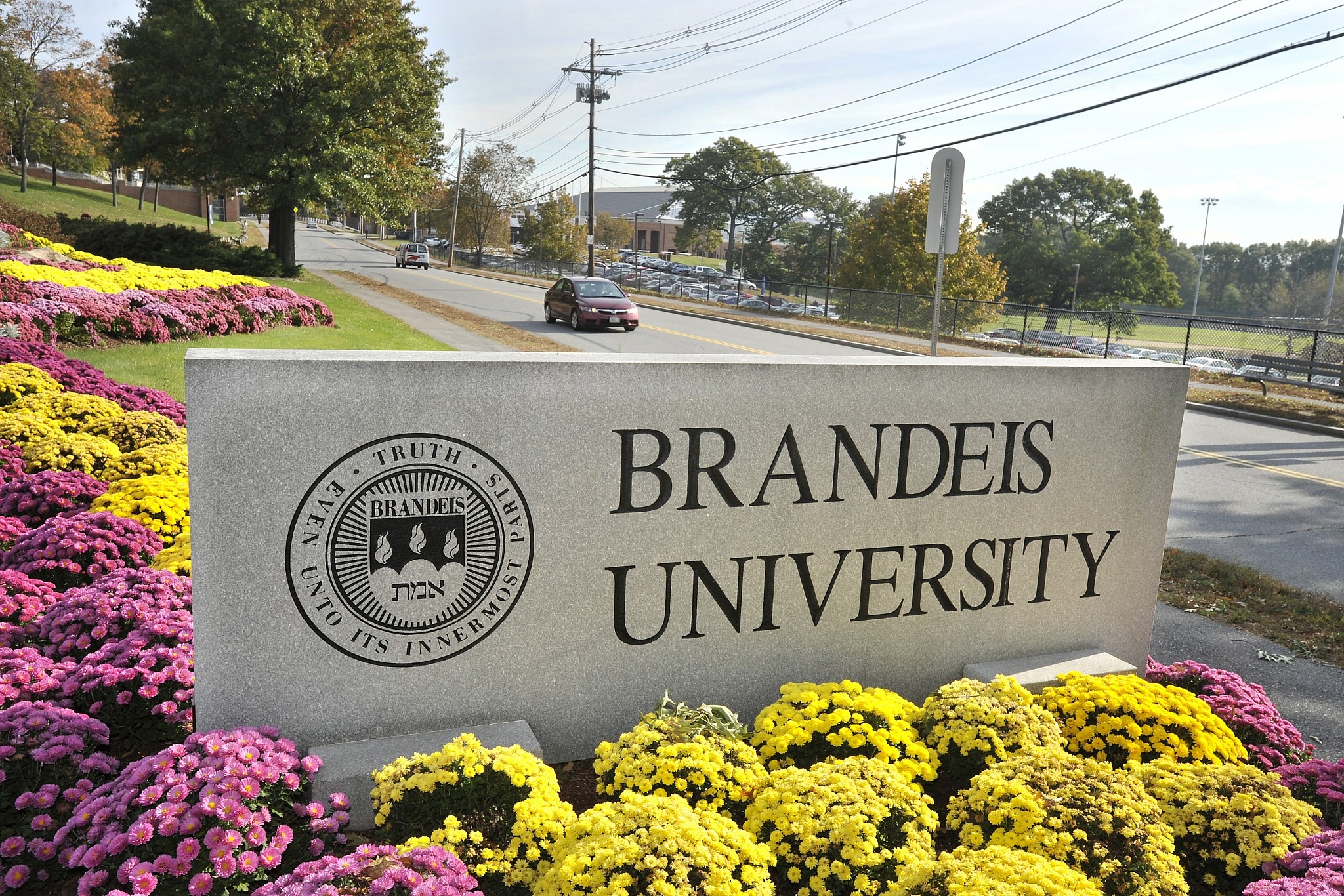 Top 10 Majors at Brandeis University OneClass Blog