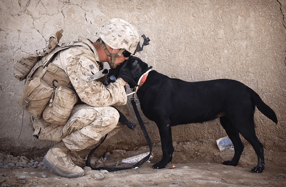 soldier kissing his dog on the head