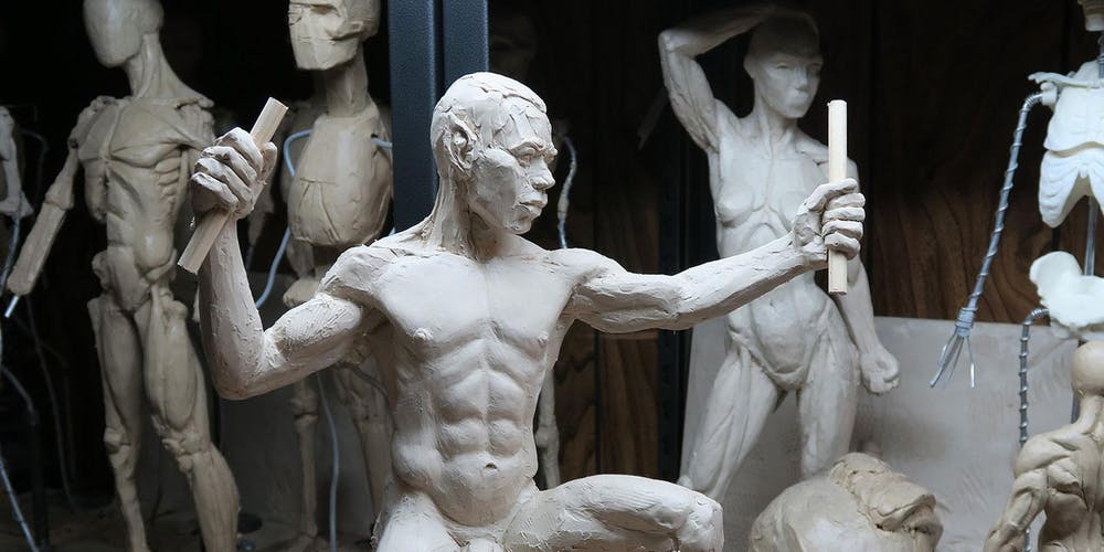 Sculptures of different human bodies in an exhibition