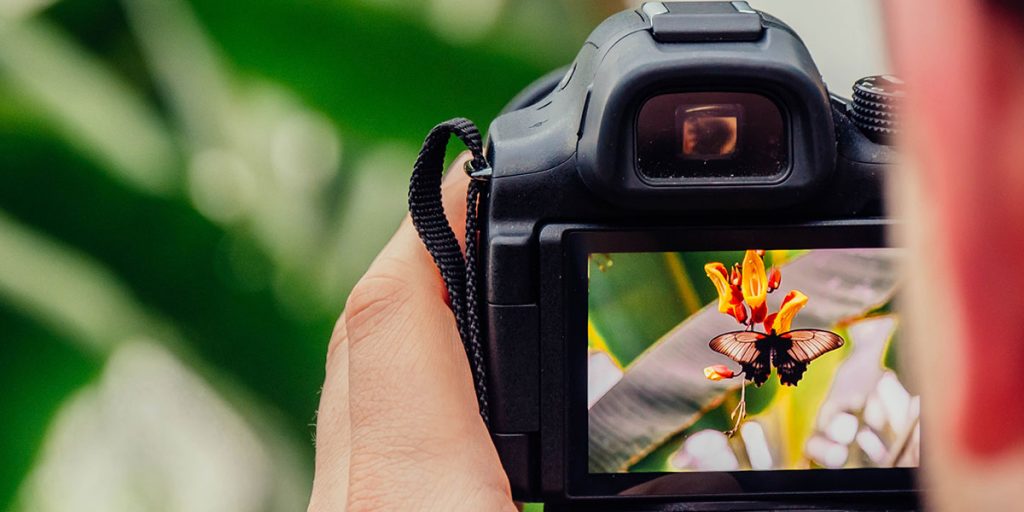 A person taking a photo with a digital camera