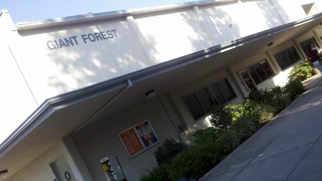 giant forest building entrance