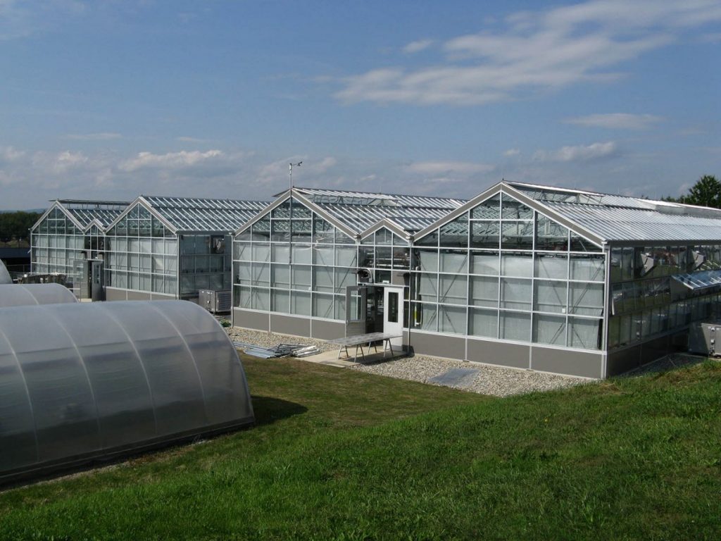 The greenhouse/laboratory consists of two wings that... 