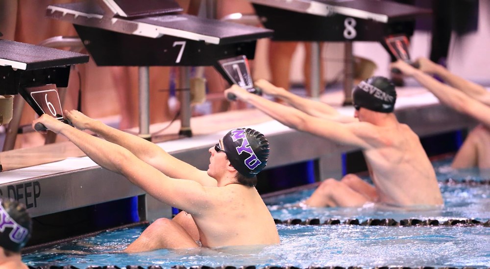 NYU swimmers in the pool during a competition