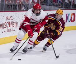 two hockey players fighting for the puck